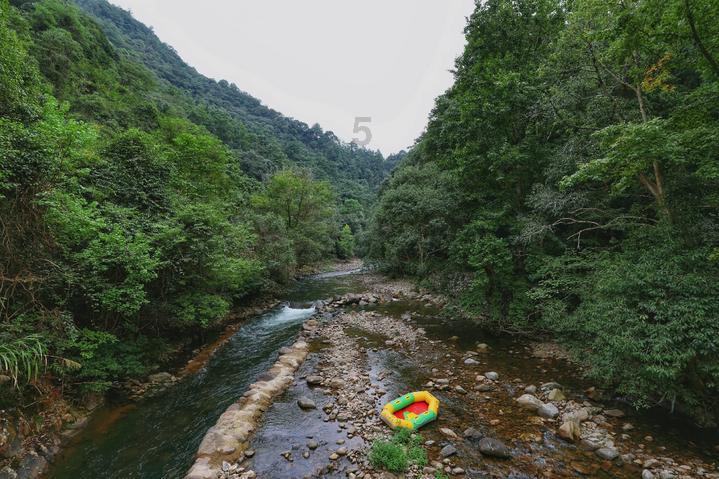 深入探索知识星球平台,畅享被爱的前提是漂亮吗?乐园